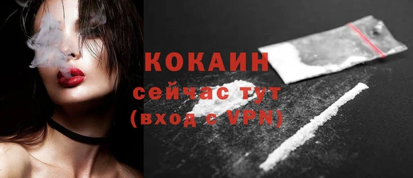спиды Ельня