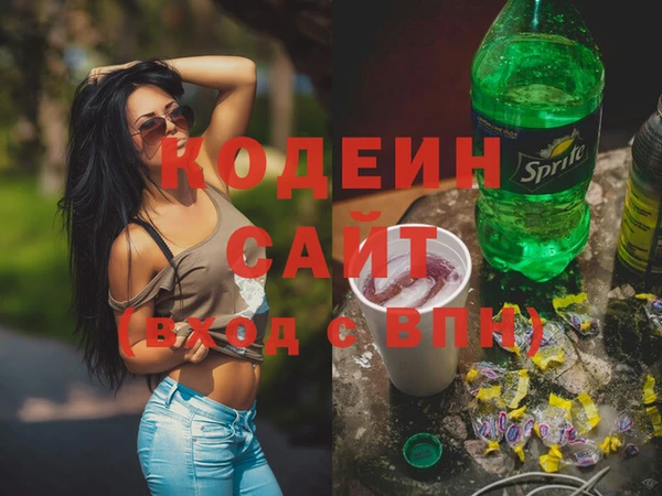 спиды Ельня