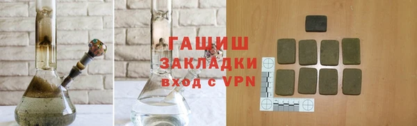 спиды Ельня