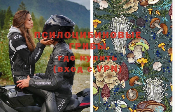 эйфоретик Елизово