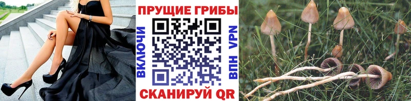 наркошоп  нарко площадка клад  Галлюциногенные грибы Magic Shrooms  Южно-Сахалинск 