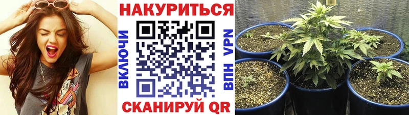 Канабис гибрид  где можно купить наркотик  Южно-Сахалинск 